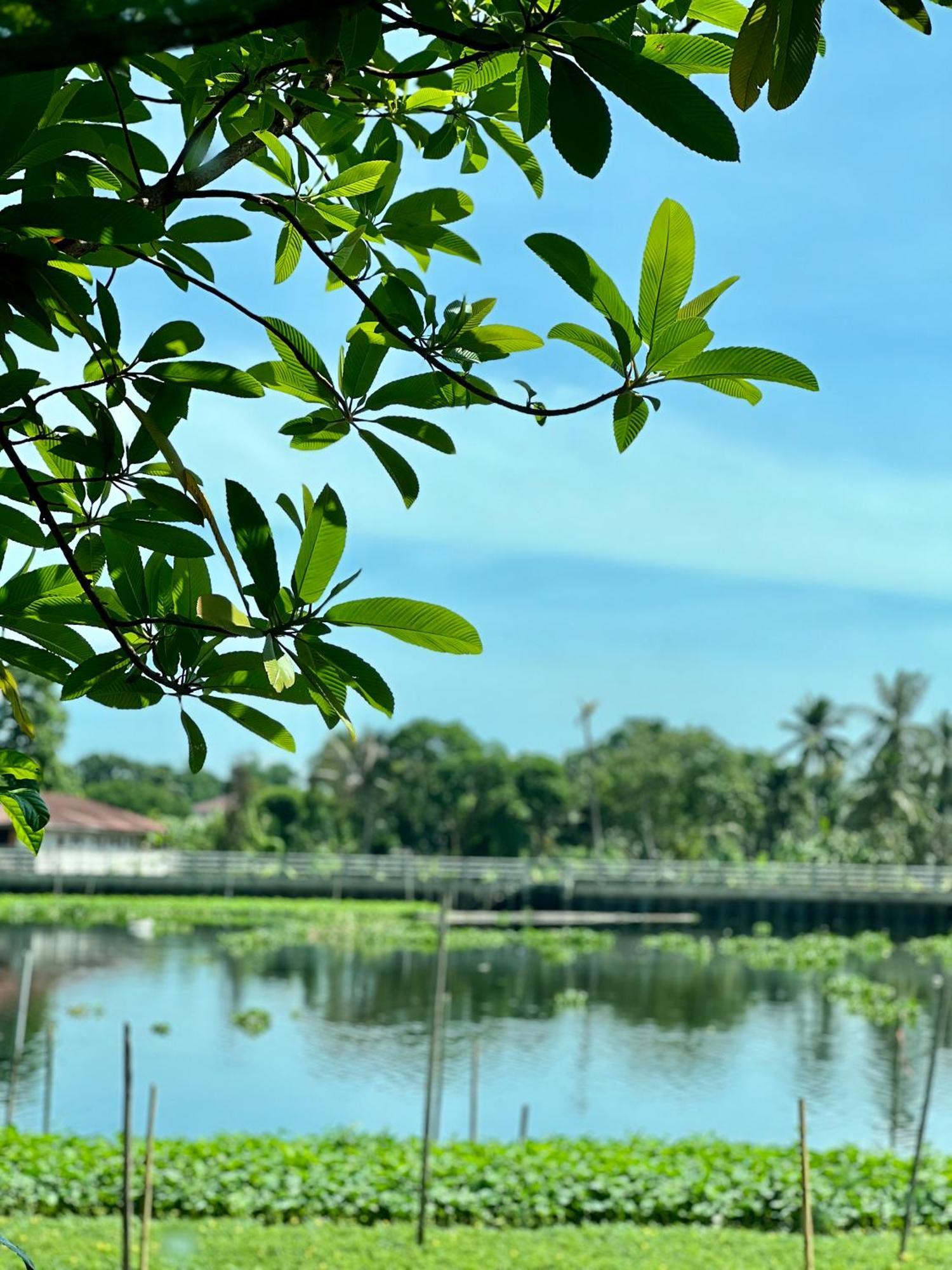Mrt Riverside Sampran มิสเตอร์ที โฮมสเตย์-ช้องนาง Buitenkant foto